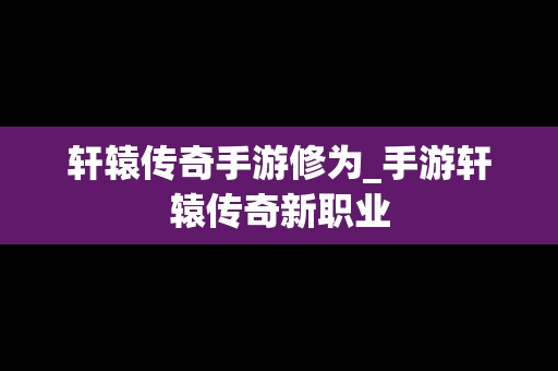 轩辕传奇手游修为_手游轩辕传奇新职业