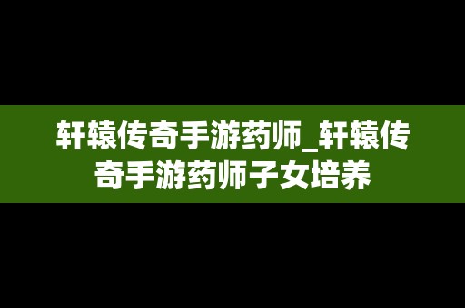 轩辕传奇手游药师_轩辕传奇手游药师子女培养