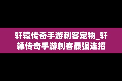 轩辕传奇手游刺客宠物_轩辕传奇手游刺客最强连招