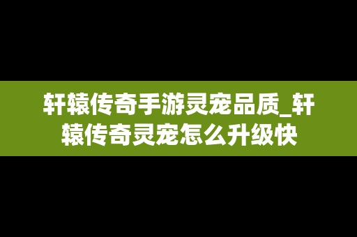 轩辕传奇手游灵宠品质_轩辕传奇灵宠怎么升级快