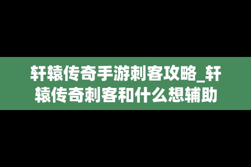 轩辕传奇手游刺客攻略_轩辕传奇刺客和什么想辅助