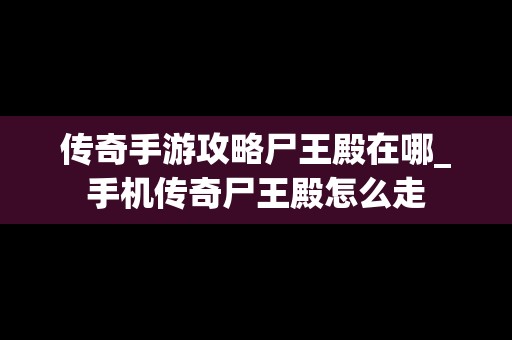 传奇手游攻略尸王殿在哪_手机传奇尸王殿怎么走