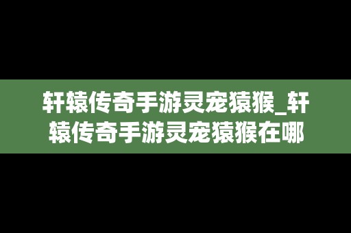 轩辕传奇手游灵宠猿猴_轩辕传奇手游灵宠猿猴在哪