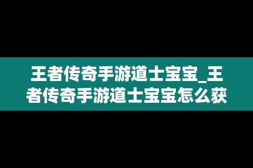 王者传奇手游道士宝宝_王者传奇手游道士宝宝怎么获得