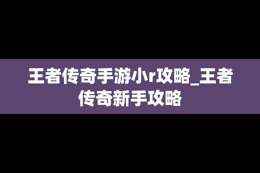 王者传奇手游小r攻略_王者传奇新手攻略