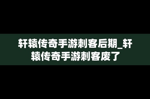 轩辕传奇手游刺客后期_轩辕传奇手游刺客废了