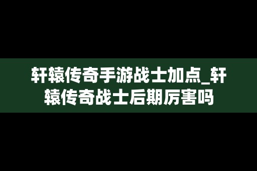 轩辕传奇手游战士加点_轩辕传奇战士后期厉害吗