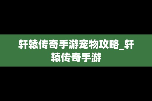 轩辕传奇手游宠物攻略_轩辕传奇手游